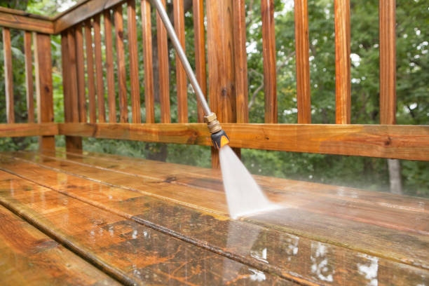 Best Oil Spill Cleanup  in Williston Highlands, FL